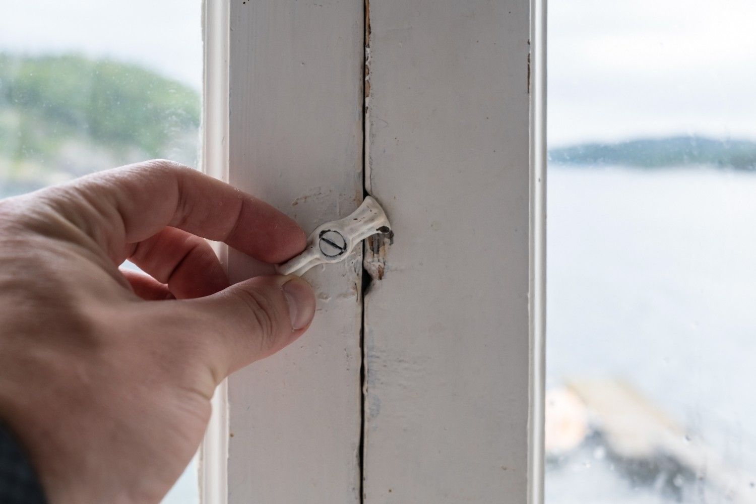 Window Locks
